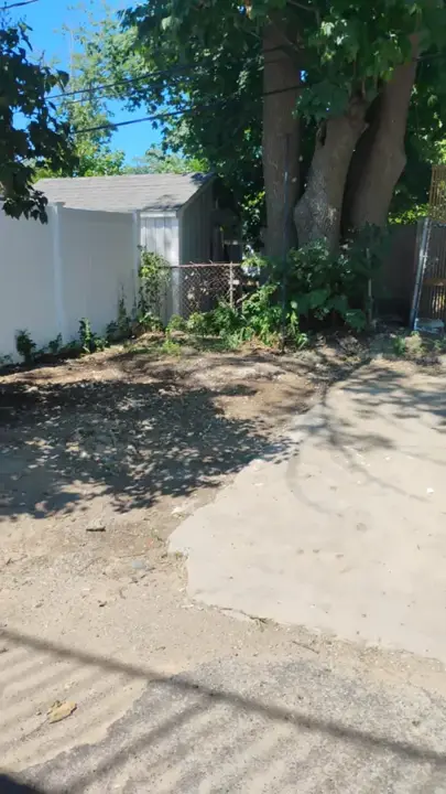 Same backyard and shed fully cleared after construction debris removal